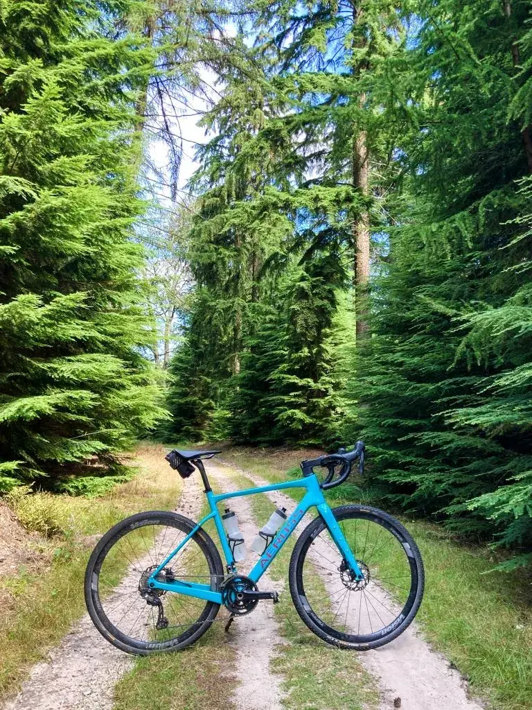 Blauwe Aeross Gravel X op bospad